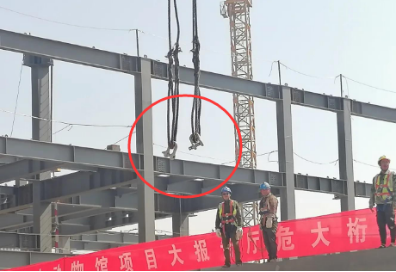 卸扣助力中國古動物館建設